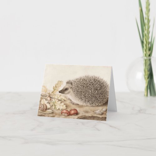 A Hedgehog in a Landscape by Giovanna Garzoni Thank You Card