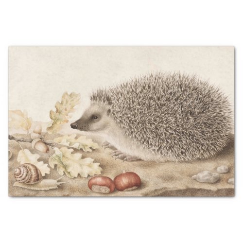 A Hedgehog in a Landscape by Giovanna Garzoni Tissue Paper