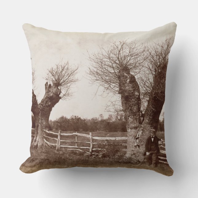 A Hedgerow Tree, 1852 (albumen print) Throw Pillow (Front)