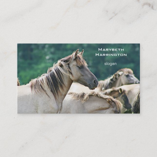 A herd of Brumby Horses from Australia Business Card (Front)