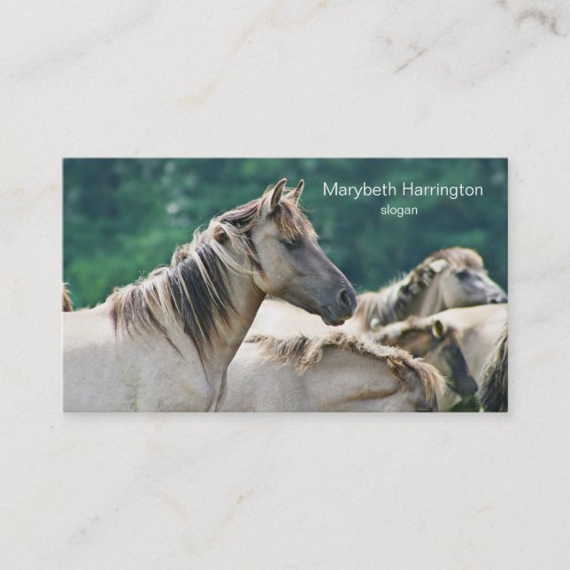 A herd of Brumby Horses from Australia Business Card (Front)