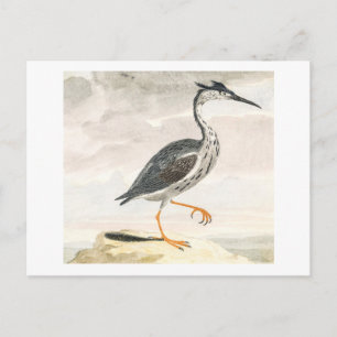A Heron by Johan Teyler Vintage Bird Art Postcard