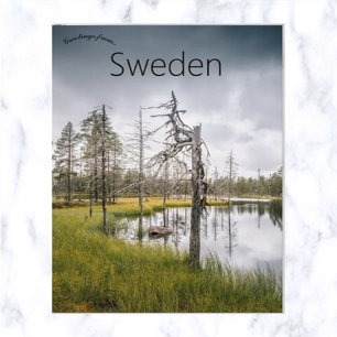 A Hidden Swamp Lake in Jämtland Sweden Postcard