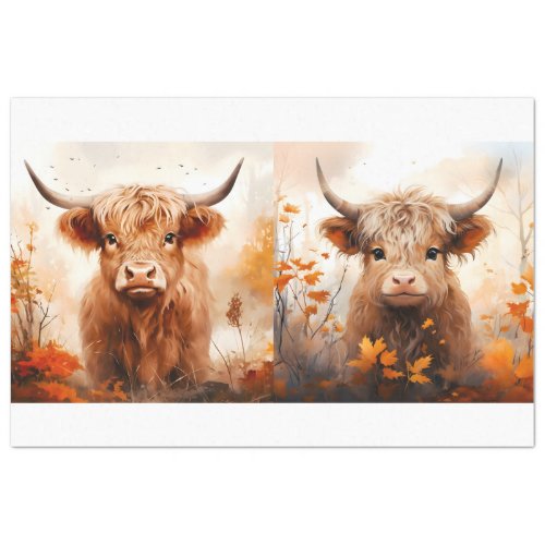 A Highland Cow Design Collection 4 Tissue Paper