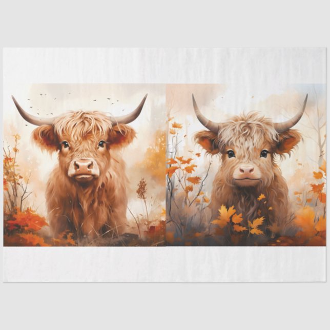 A Highland Cow Design Collection 4 Tissue Paper (Front)