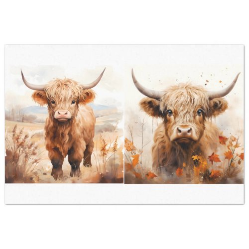 A Highland Cow Design Collection 5 Tissue Paper