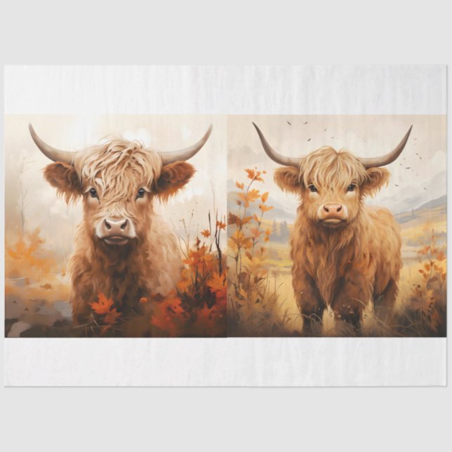 A Highland Cow Design Collection 6 Tissue Paper (Front)
