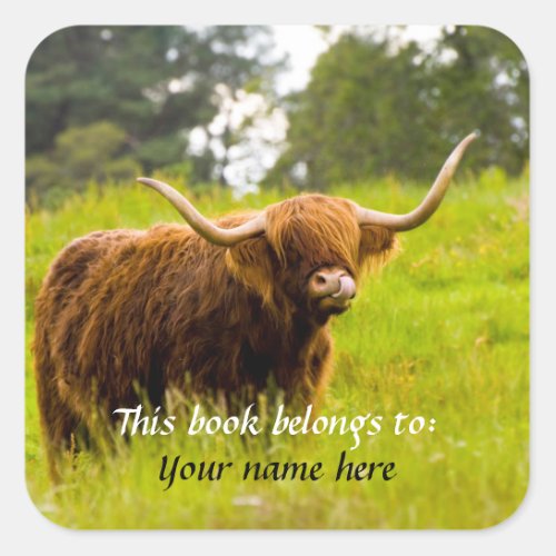 A Highland Cow This book belongs to Sticker