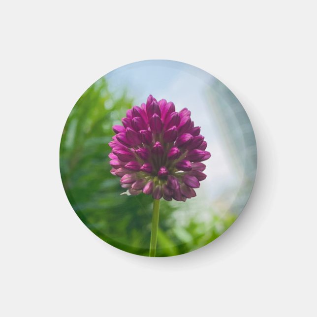 A Hint of Z "Dark Pink Floral" magnet (Front)