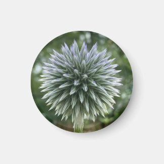 A Hint of Z "Green Fireworks Floral" magnet