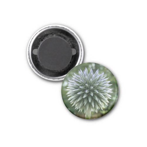 A Hint of Z Green Fireworks Floral magnet