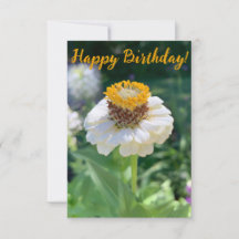 A Hint of Z "Happy Birthday!" card