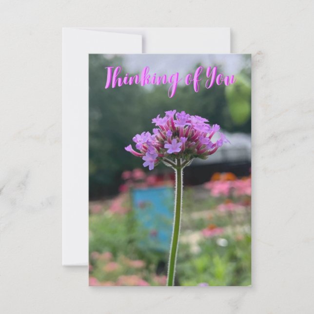 A Hint of Z "Thinking of you" card (Front)