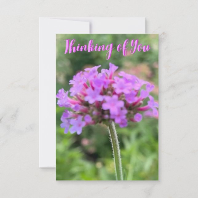 A Hint of Z "Thinking of You" close up card (Front)