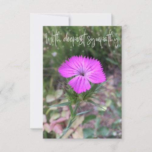 A Hint of Z With deepest sympathy card