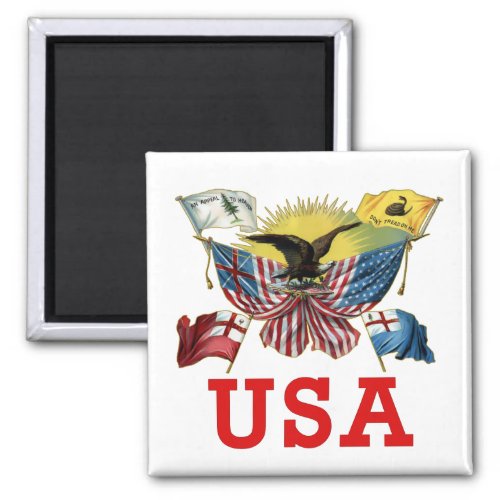 A History of American Flags on a Tshirt Magnet