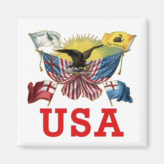 A History of American Flags on a Tshirt Magnet (Front)