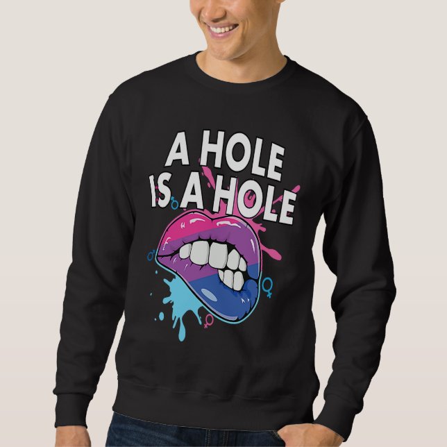 A Hole Is A Hole Bisexual Rainbow Pride Bisexualit Sweatshirt (Front)