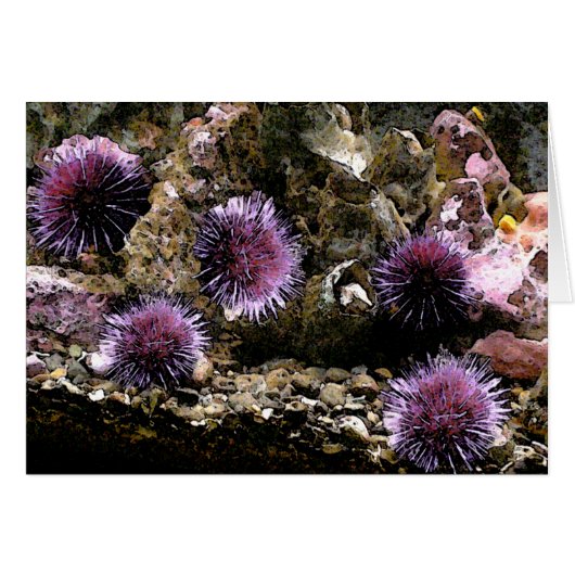 A Horde of Urchins Cards (Front Horizontal)