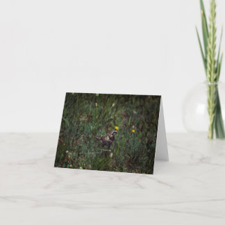 A Horned Lark Card