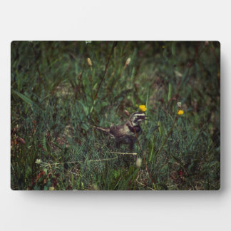 A Horned Lark Plaque