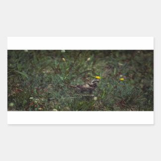 A Horned Lark Rectangular Sticker