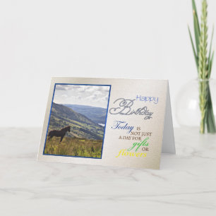 A horse birthday card. card