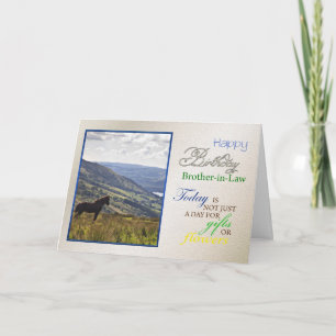 A horse birthday card for brother-in-law.