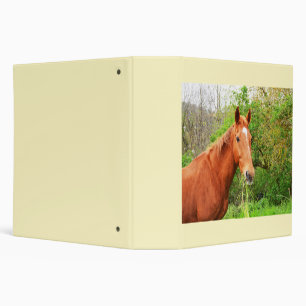 A horse called Orion 3 Ring Binder