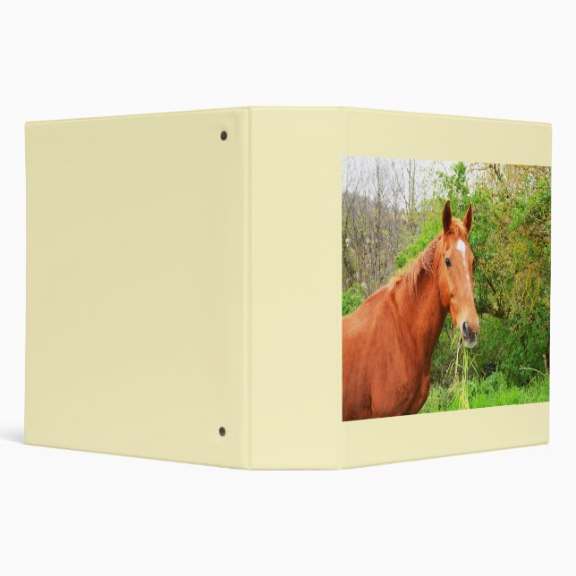 A horse called Orion 3 Ring Binder (Background)