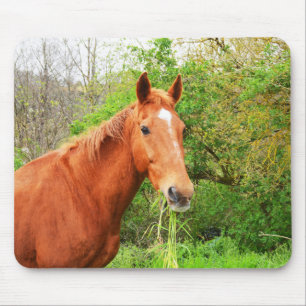 A horse called Orion Mouse Pad