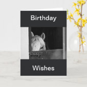 A Horse in the Stables Birthday Wishes Card (Yellow Flower)