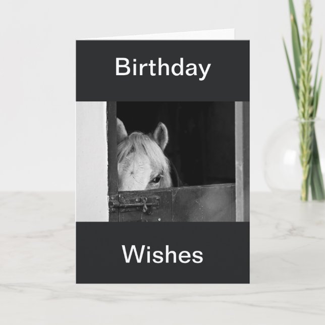 A Horse in the Stables Birthday Wishes Card (Front)