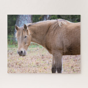 A Horse is a Horse of Course - 16x20 inch Jigsaw Puzzle