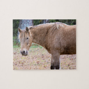 A Horse is a Horse, of Course  -  8x10 inch Jigsaw Puzzle