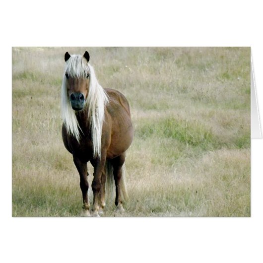 A Horse, of Course... Cards (Front Horizontal)