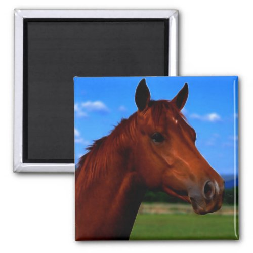 A horse standing proud magnet