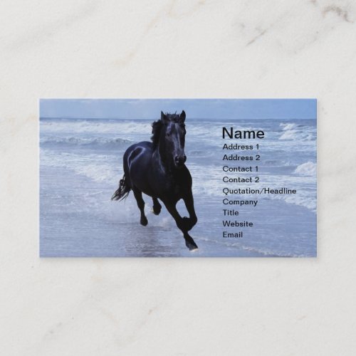 A horse wild and free business card templates