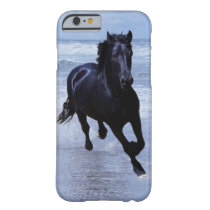 A horse wild and free barely there iPhone 6 case