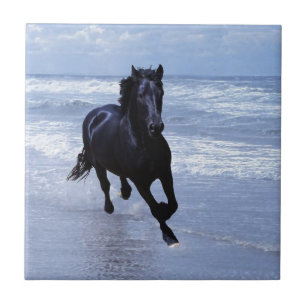 A horse wild and free ceramic tile