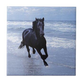 A Horse Wild And Free Ceramic Tile by laureenr at Zazzle