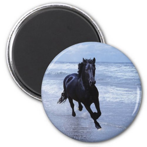 A horse wild and free magnet