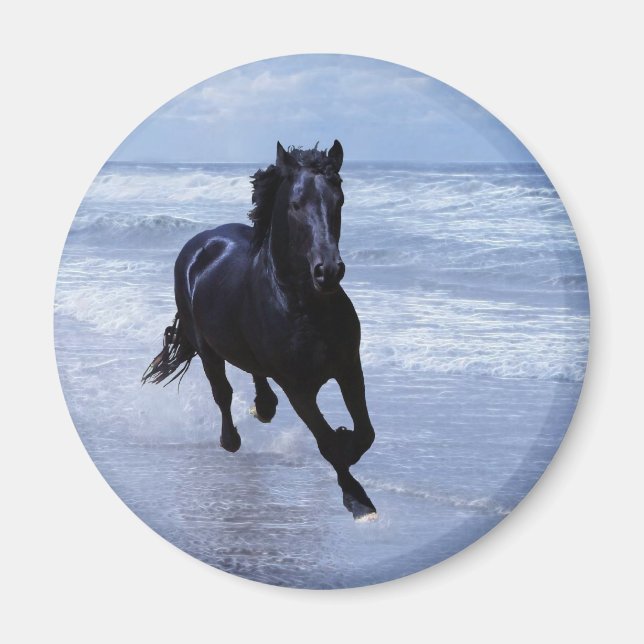 A horse wild and free magnet (Front)