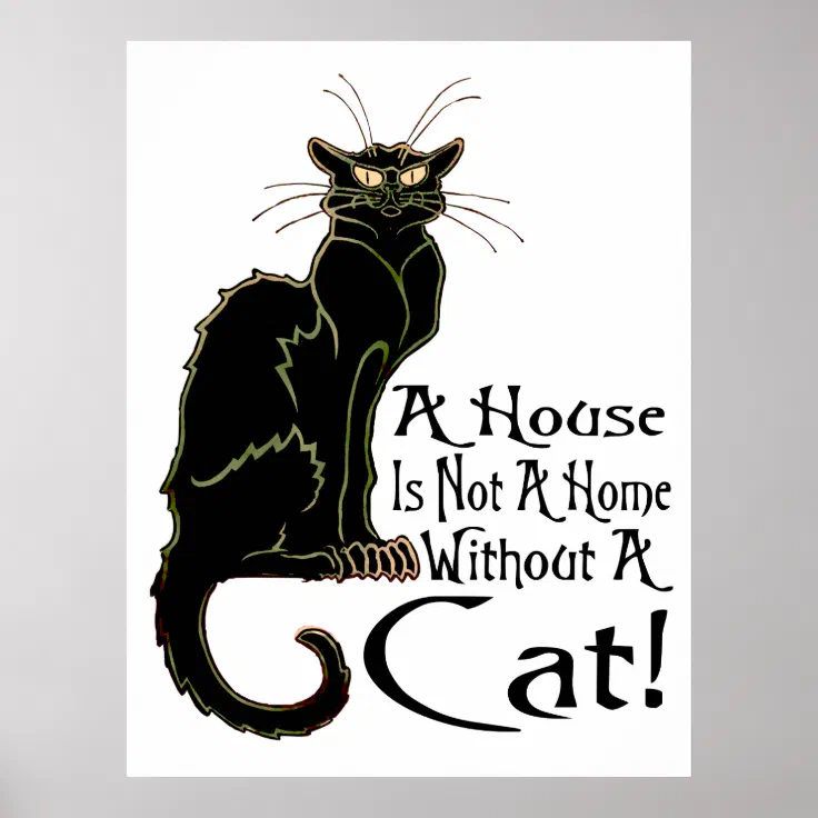 A House Is Not A Home Without A Cat Poster Zazzle