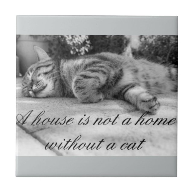 A house is not a home without a cat tile. ceramic tile (Front)