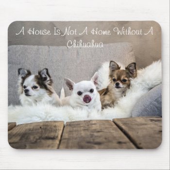 A House Is Not A Home Without A Chihuahua Mousepad by online_store at Zazzle