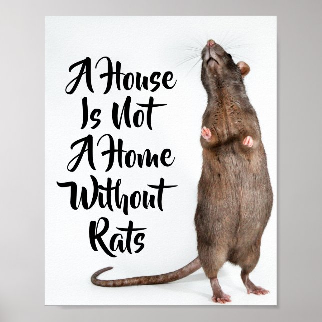 A House is not a Home Without Rats Poster (Front)