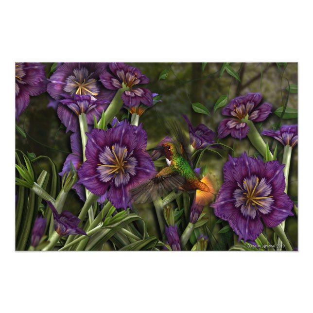 A Humm Among The Flowers Photo Print (Front)