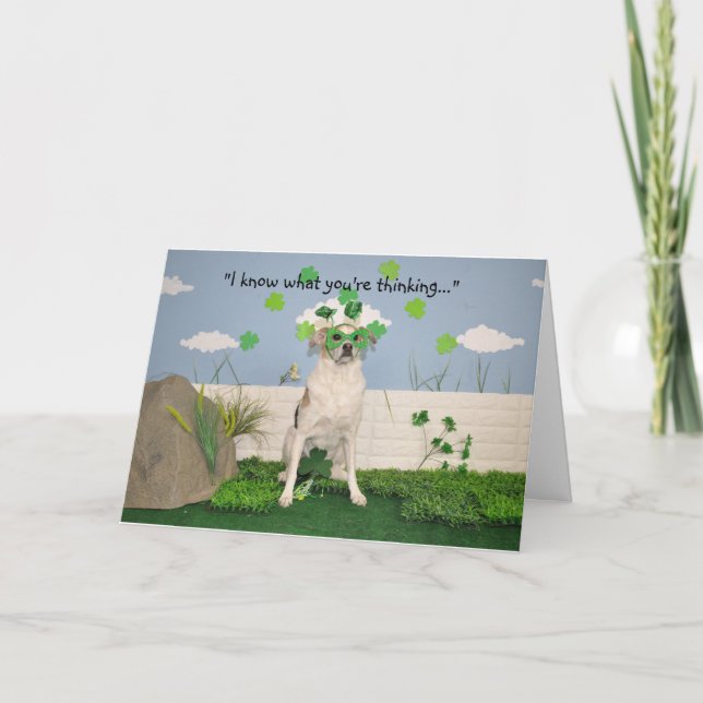 A humorous card, dog dressed for St pat's day. Card (Front)