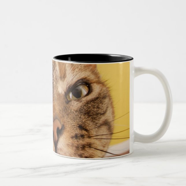 A humorous little cat sits on a stool Two-Tone coffee mug (Right)